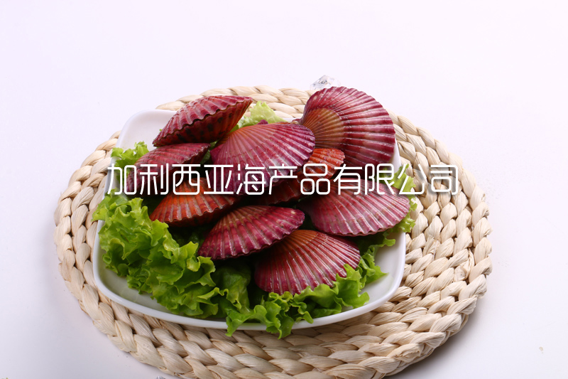 扇貝的營養(yǎng)價值有哪些？